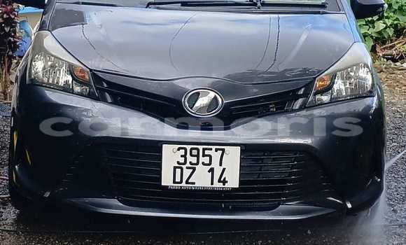 Buy Used Toyota Vitz Other Car in Curepipe in Plaines Wilhems District