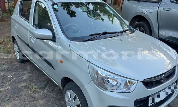 Buy Used Suzuki Alto Silver Car in Port Louis in Port Louis District