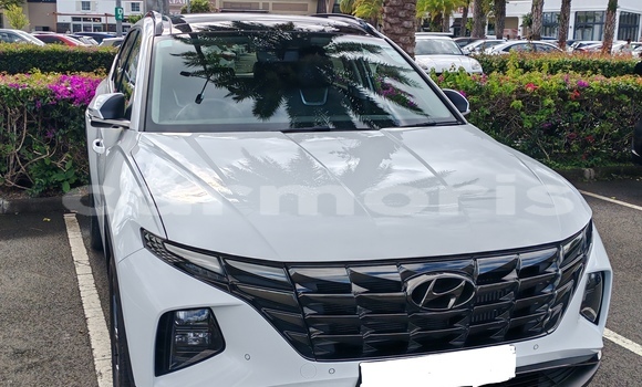 Buy Used Hyundai Tucson White Car in Quatre Bornes in Plaines Wilhems District
