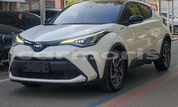 Buy Used Toyota C-HR White Car in Bel Ombre in Savanne