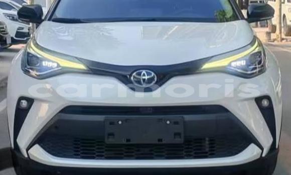 Buy Used Toyota C-HR White Car in Bel Ombre in Savanne Buy Used Toyota C-HR White Car in Bel Ombre in Savanne