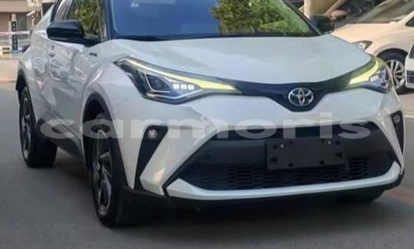 Buy Used Toyota C-HR White Car in Bel Ombre in Savanne Buy Used Toyota C-HR White Car in Bel Ombre in Savanne