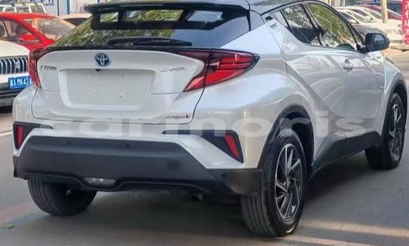 Buy Used Toyota C-HR White Car in Bel Ombre in Savanne Buy Used Toyota C-HR White Car in Bel Ombre in Savanne