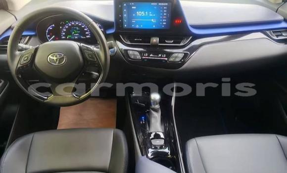 Buy Used Toyota C-HR White Car in Bel Ombre in Savanne Buy Used Toyota C-HR White Car in Bel Ombre in Savanne