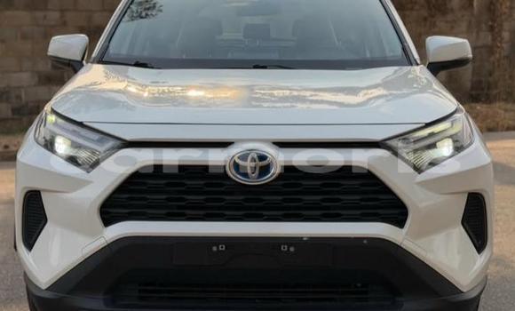 Buy Used Toyota RAV4 White Car in Bel Air in Flacq