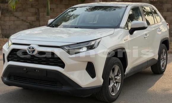Buy Used Toyota RAV4 White Car in Bel Air in Flacq Buy Used Toyota RAV4 White Car in Bel Air in Flacq