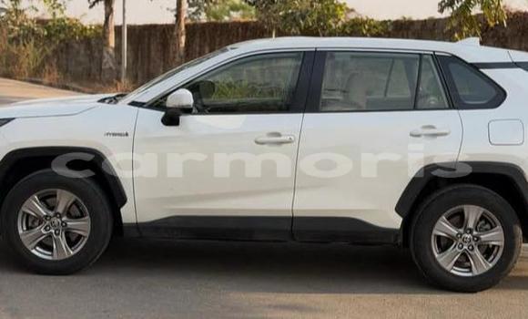 Buy Used Toyota RAV4 White Car in Bel Air in Flacq Buy Used Toyota RAV4 White Car in Bel Air in Flacq