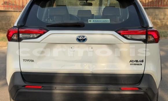 Buy Used Toyota RAV4 White Car in Bel Air in Flacq Buy Used Toyota RAV4 White Car in Bel Air in Flacq
