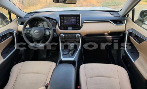Buy Used Toyota RAV4 White Car in Bel Air in Flacq Buy Used Toyota RAV4 White Car in Bel Air in Flacq
