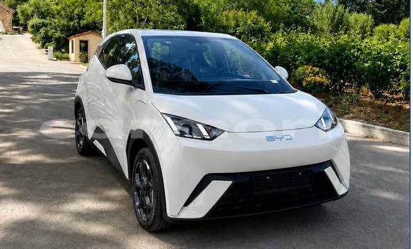 Buy Used BYD Seagull Other Car in Bel Ombre in Savanne Buy Used BYD Seagull Other Car in Bel Ombre in Savanne