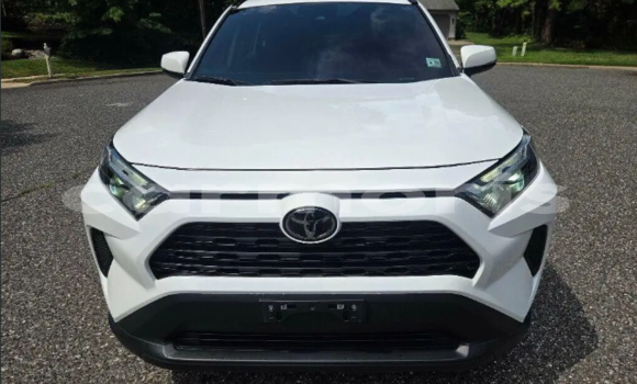 Buy Used Toyota RAV4 White Car in Anse La Raie in Rivière du Rempart District