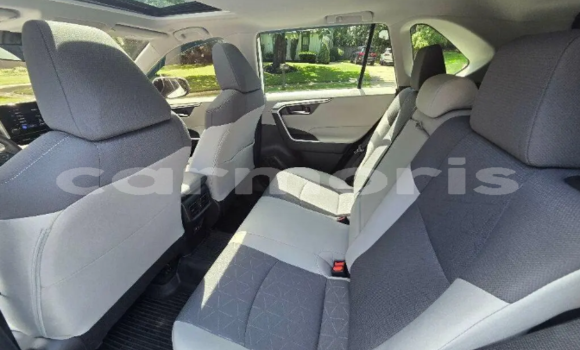 Buy Used Toyota RAV4 White Car in Anse La Raie in Rivière du Rempart District Buy Used Toyota RAV4 White Car in Anse La Raie in Rivière du Rempart District