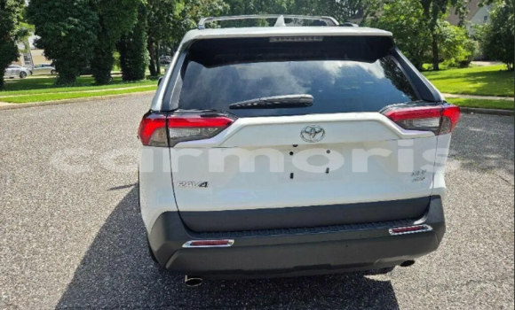 Buy Used Toyota RAV4 White Car in Anse La Raie in Rivière du Rempart District Buy Used Toyota RAV4 White Car in Anse La Raie in Rivière du Rempart District