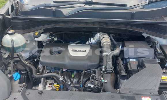 Buy Used Kia Sportage Silver Car in Quatre Bornes in Plaines Wilhems District