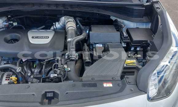 Buy Used Kia Sportage Silver Car in Quatre Bornes in Plaines Wilhems District Buy Used Kia Sportage Silver Car in Quatre Bornes in Plaines Wilhems District