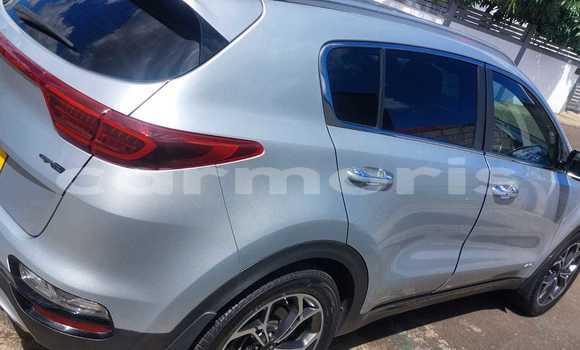 Buy Used Kia Sportage Silver Car in Quatre Bornes in Plaines Wilhems District Buy Used Kia Sportage Silver Car in Quatre Bornes in Plaines Wilhems District