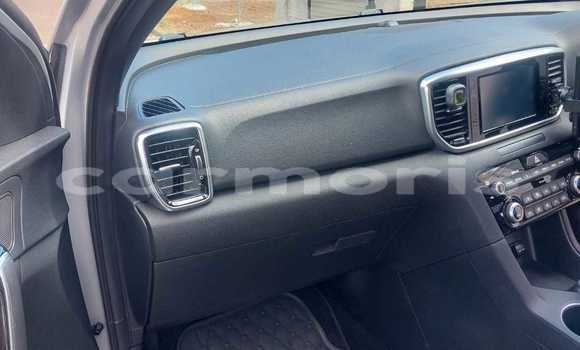 Buy Used Kia Sportage Silver Car in Quatre Bornes in Plaines Wilhems District Buy Used Kia Sportage Silver Car in Quatre Bornes in Plaines Wilhems District