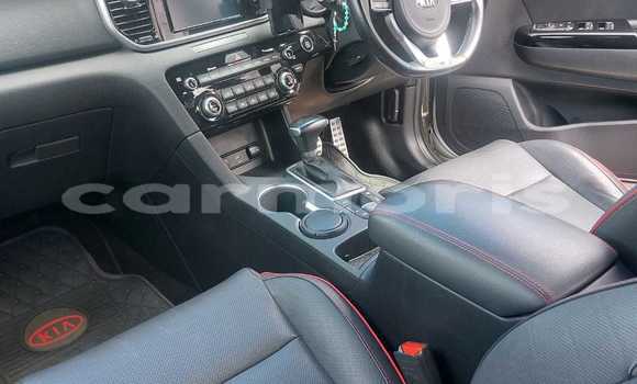 Buy Used Kia Sportage Silver Car in Quatre Bornes in Plaines Wilhems District Buy Used Kia Sportage Silver Car in Quatre Bornes in Plaines Wilhems District