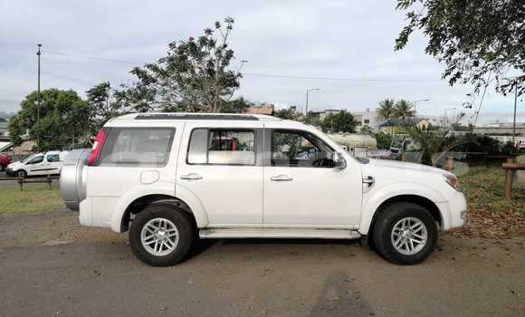 Buy Used Ford Everest White Car in Quatre Bornes in Plaines Wilhems District
