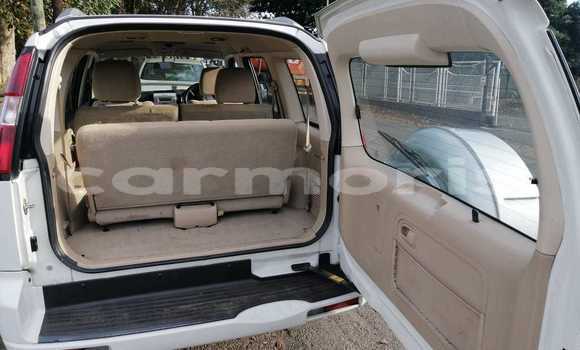 Buy Used Ford Everest White Car in Quatre Bornes in Plaines Wilhems District Buy Used Ford Everest White Car in Quatre Bornes in Plaines Wilhems District