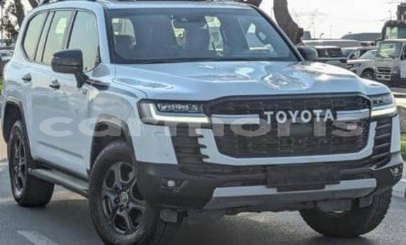 Buy Used Toyota Land Cruiser White Car in Bel Ombre in Savanne