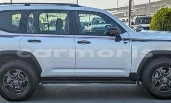 Buy Used Toyota Land Cruiser White Car in Bel Ombre in Savanne Buy Used Toyota Land Cruiser White Car in Bel Ombre in Savanne