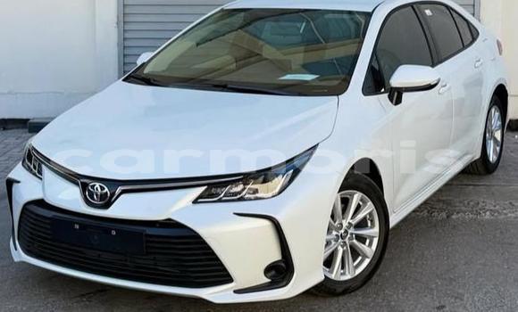 Buy Used Toyota Corolla White Car in Bel Air in Flacq