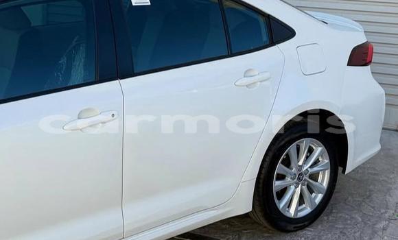 Buy Used Toyota Corolla White Car in Bel Air in Flacq Buy Used Toyota Corolla White Car in Bel Air in Flacq