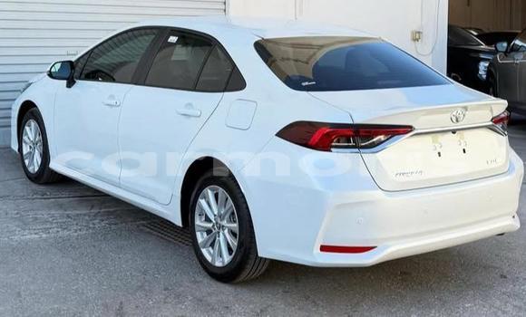 Buy Used Toyota Corolla White Car in Bel Air in Flacq Buy Used Toyota Corolla White Car in Bel Air in Flacq