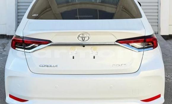 Buy Used Toyota Corolla White Car in Bel Air in Flacq Buy Used Toyota Corolla White Car in Bel Air in Flacq