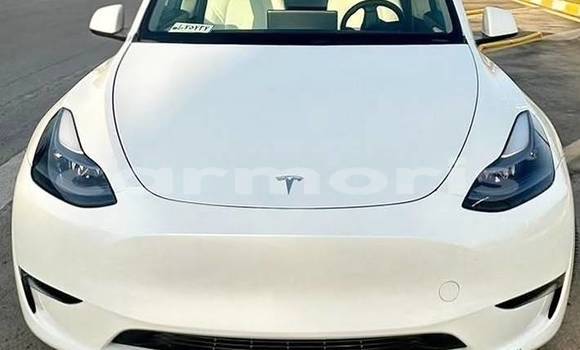 Buy Used Tesla Model X White Car in Bel Ombre in Savanne