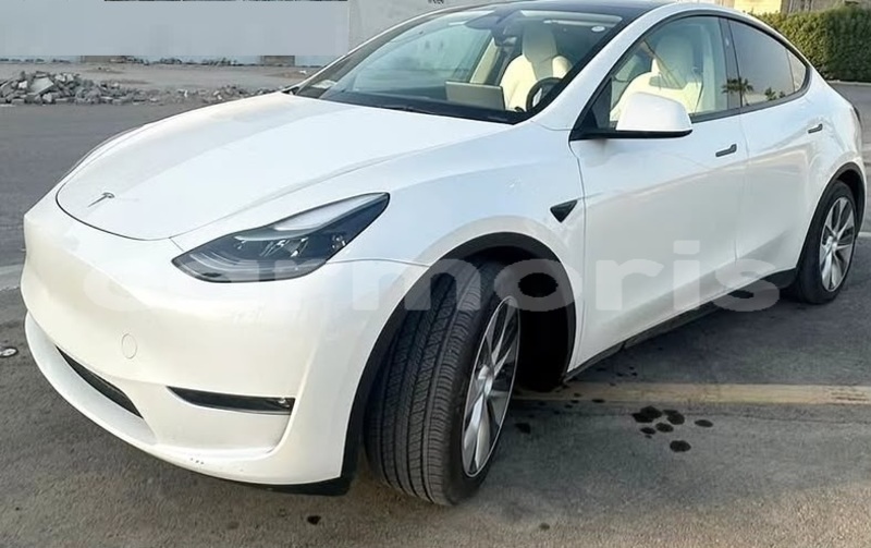 Big with watermark tesla model x savanne bel ombre 8164
