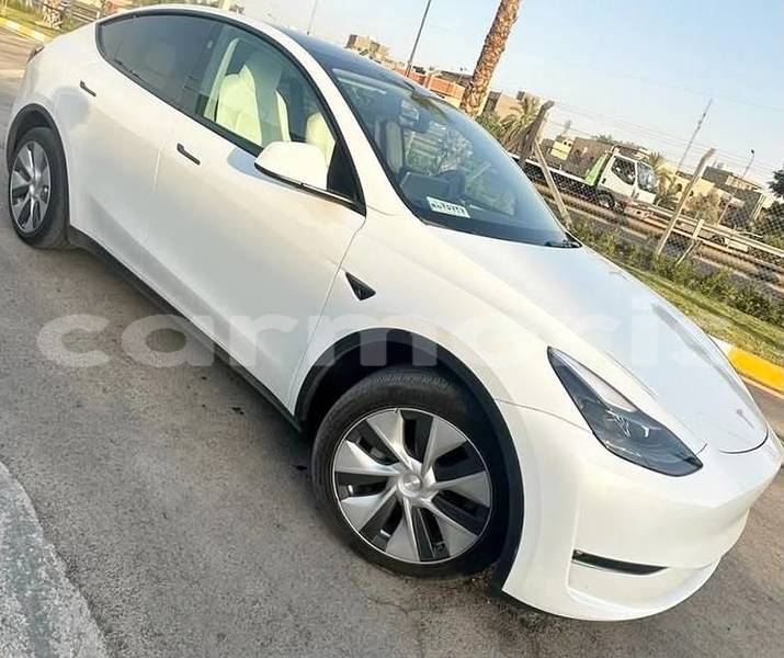 Big with watermark tesla model x savanne bel ombre 8164