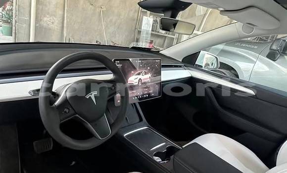 Buy Used Tesla Model X White Car in Bel Ombre in Savanne Buy Used Tesla Model X White Car in Bel Ombre in Savanne