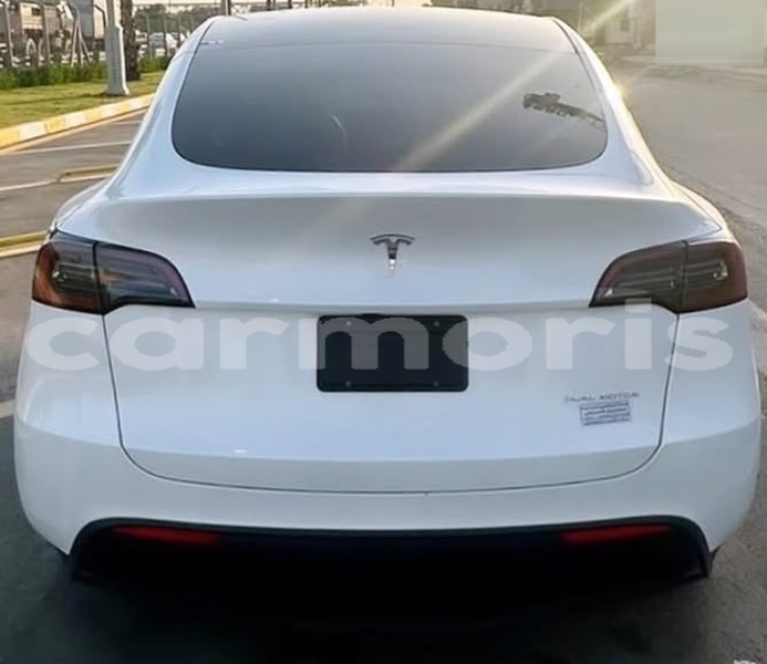 Big with watermark tesla model x savanne bel ombre 8164