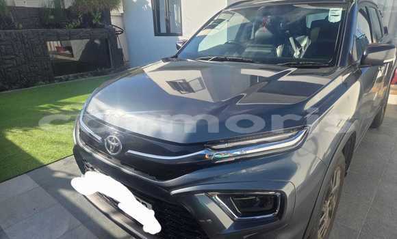 Buy Used Toyota Urban Cruiser Other Car in Quatre Bornes in Plaines Wilhems District