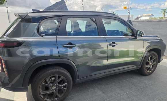 Acheter Occasion Voiture Toyota Urban Cruiser Autre à Quatre Bornes, Plaines Wilhems District Acheter Occasion Voiture Toyota Urban Cruiser Autre à Quatre Bornes, Plaines Wilhems District