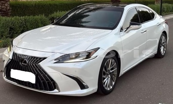 Buy Used Lexus ES White Car in Bel Ombre in Savanne