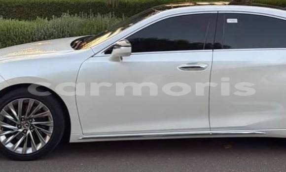 Buy Used Lexus ES White Car in Bel Ombre in Savanne Buy Used Lexus ES White Car in Bel Ombre in Savanne