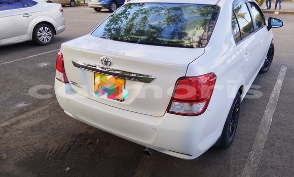 Buy Used Toyota Axio White Car in Port Louis in Port Louis District