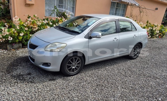 Buy Used Toyota Belta Silver Car in Curepipe in Plaines Wilhems District