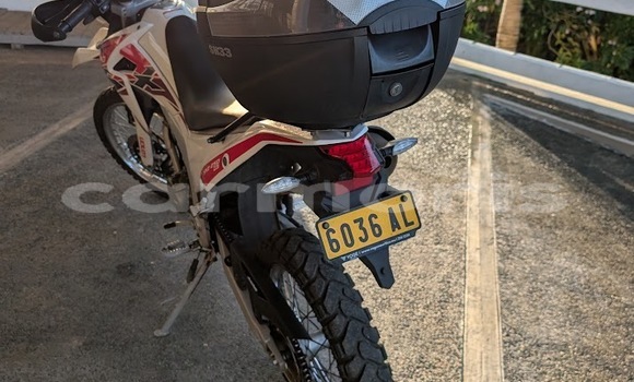 Acheter Occasion Moto Lifan HUNTAWAY Blanc à Goyaves de Grand Baie–Montagne, Rodrigues Acheter Occasion Moto Lifan HUNTAWAY Blanc à Goyaves de Grand Baie–Montagne, Rodrigues