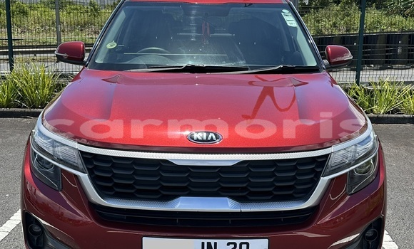 Buy Used Kia Carens Red Car in Vacoas–Phoenix in Plaines Wilhems District
