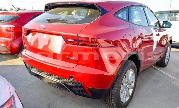 Buy Import Jaguar E-Pace Red Car in Import - Dubai in Agalega Islands Buy Import Jaguar E-Pace Red Car in Import - Dubai in Agalega Islands