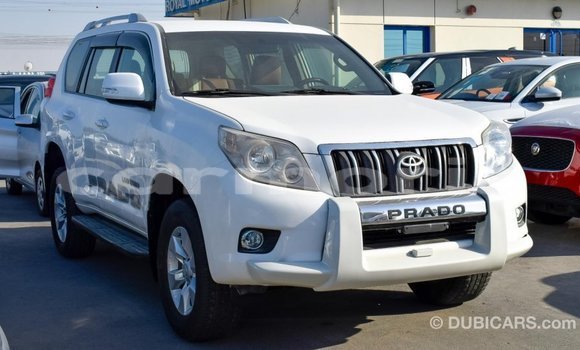 Buy Import Toyota Prado White Car in Import - Dubai in Agalega Islands Buy Import Toyota Prado White Car in Import - Dubai in Agalega Islands