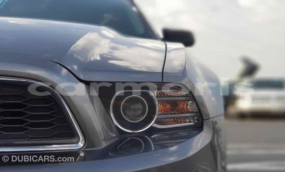 Buy Import Ford Mustang Other Car in Import - Dubai in Agalega Islands Buy Import Ford Mustang Other Car in Import - Dubai in Agalega Islands