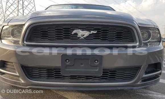 Buy Import Ford Mustang Other Car in Import - Dubai in Agalega Islands Buy Import Ford Mustang Other Car in Import - Dubai in Agalega Islands