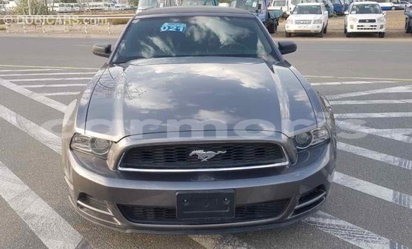 Buy Import Ford Mustang Other Car in Import - Dubai in Agalega Islands Buy Import Ford Mustang Other Car in Import - Dubai in Agalega Islands