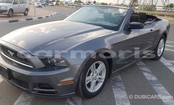 Buy Import Ford Mustang Other Car in Import - Dubai in Agalega Islands Buy Import Ford Mustang Other Car in Import - Dubai in Agalega Islands