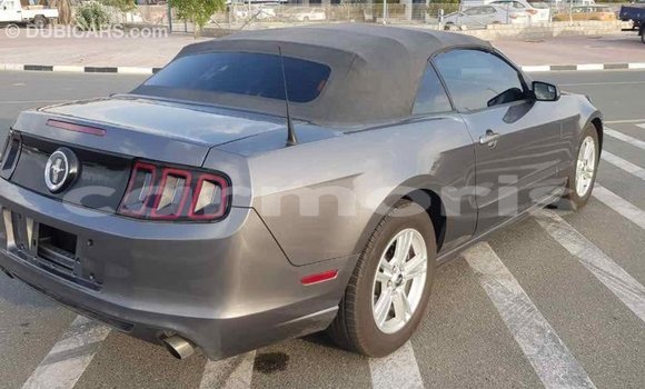 Buy Import Ford Mustang Other Car in Import - Dubai in Agalega Islands Buy Import Ford Mustang Other Car in Import - Dubai in Agalega Islands